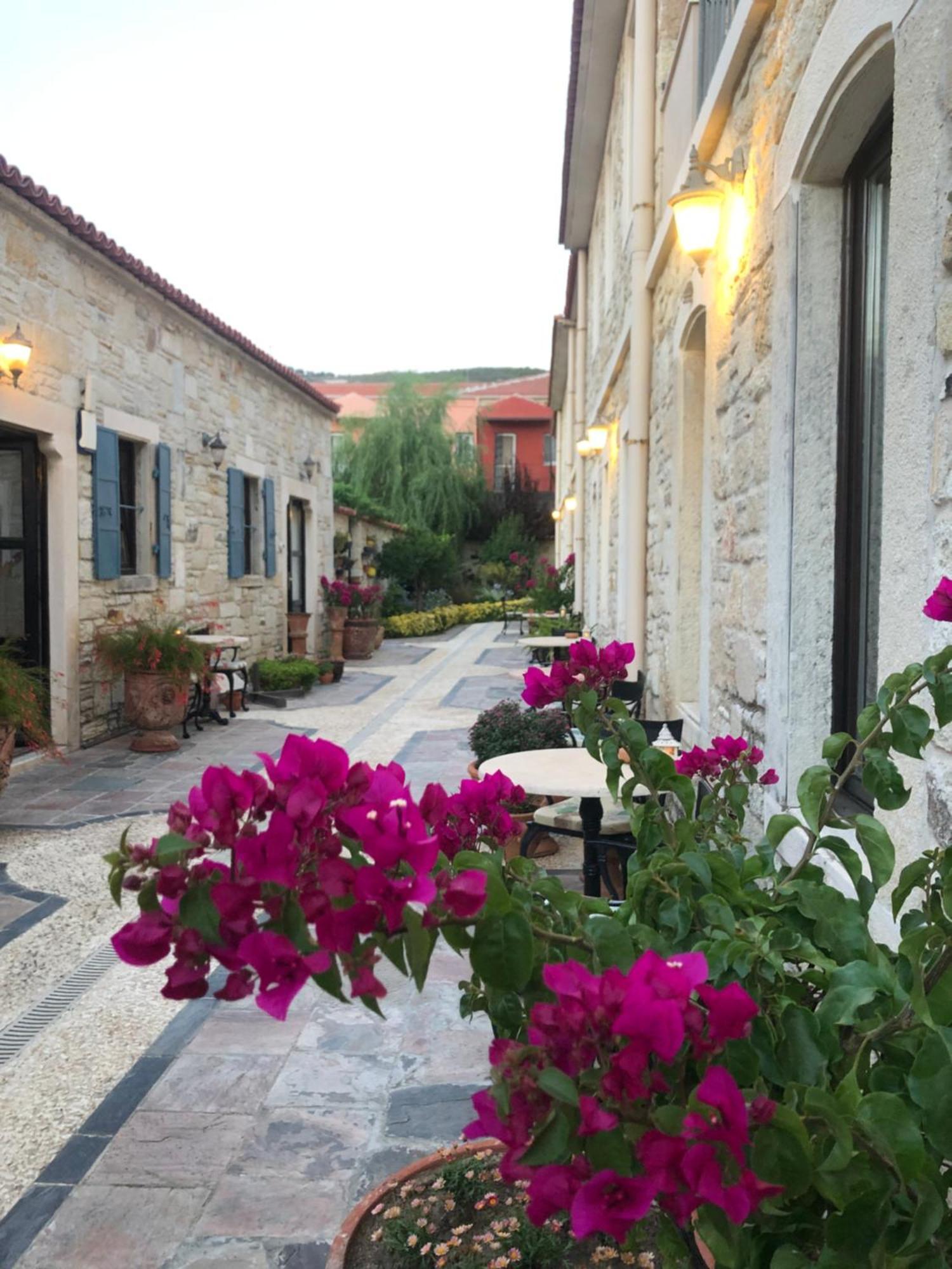 Griffon Hotel ينيفوتشا المظهر الخارجي الصورة