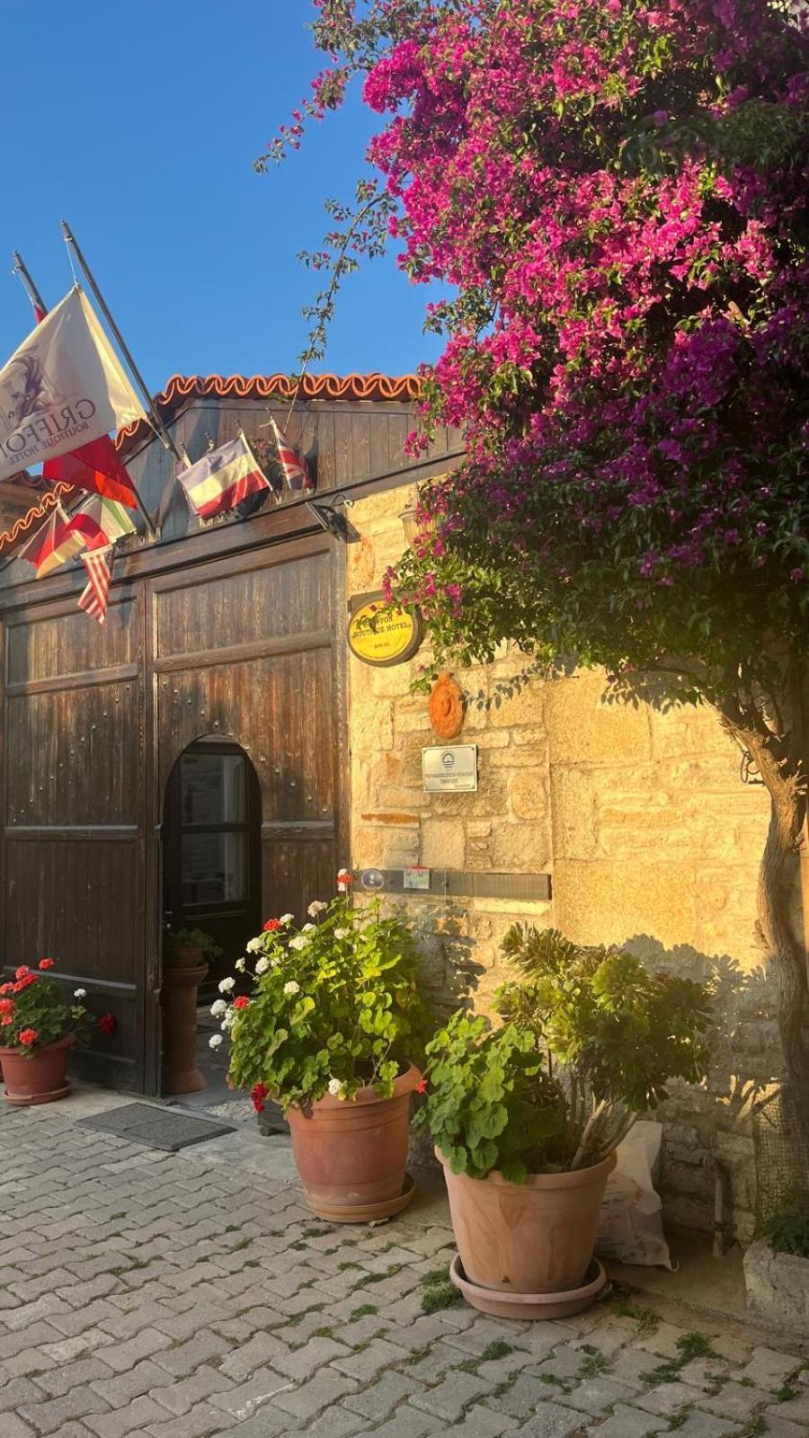 Griffon Hotel ينيفوتشا المظهر الخارجي الصورة